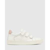 Read Wittner Reviews